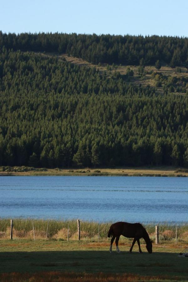 Patagonia Retro Lägenhet Esquel Exteriör bild